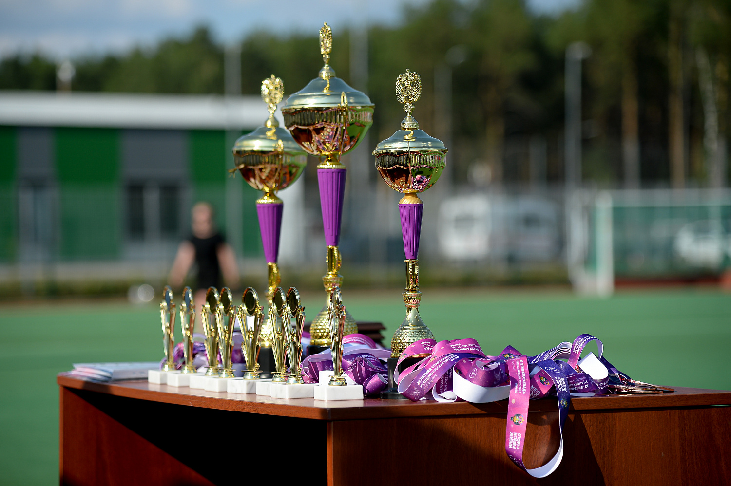 Спартакиада учащихся 2022(м): Финальный День